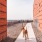 a dog walking on a sidewalk